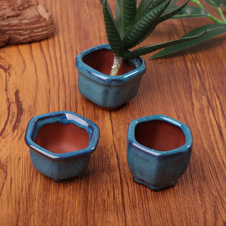 Mini Bonsai Planter – Breathable Mini Plant Pot for Succulents & Home Decor
