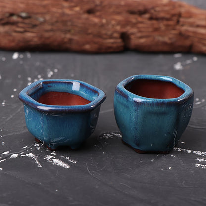 Mini Bonsai Planter – Breathable Mini Plant Pot for Succulents & Home Decor