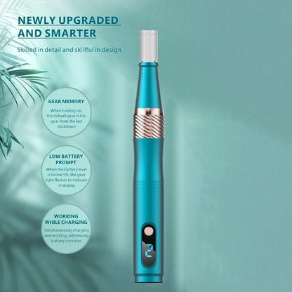 Portable Facial Beauty Instrument