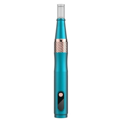 Portable Facial Beauty Instrument