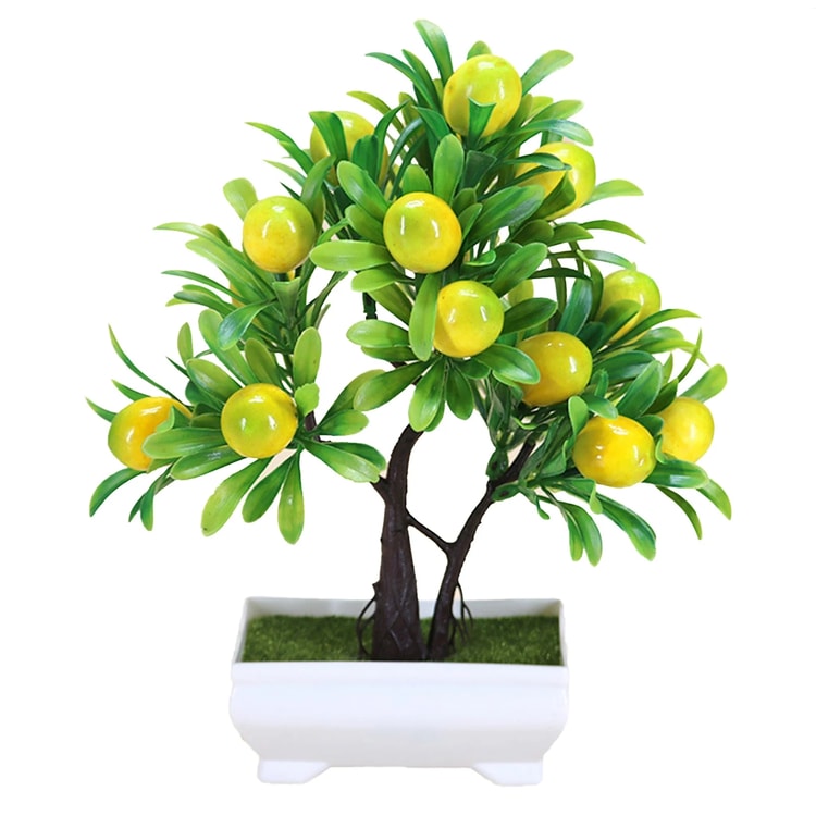 Orange Tree Bonsai: Artificial Office & Home Decor